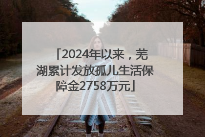 2024年以来，芜湖累计发放孤儿生活保障金2758万元