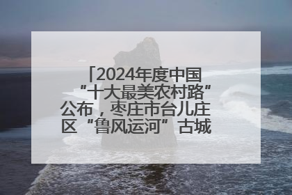 2024年度中国“十大最美农村路”公布，枣庄市台儿庄区“鲁风运河”古城文化廊道上榜！