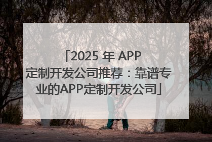 2025 年 APP 定制开发公司推荐：靠谱专业的APP定制开发公司