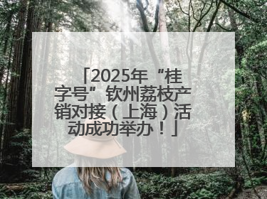 2025年“桂字号”钦州荔枝产销对接（上海）活动成功举办！