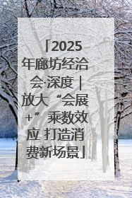 2025年廊坊经洽会·深度｜放大“会展+”乘数效应 打造消费新场景