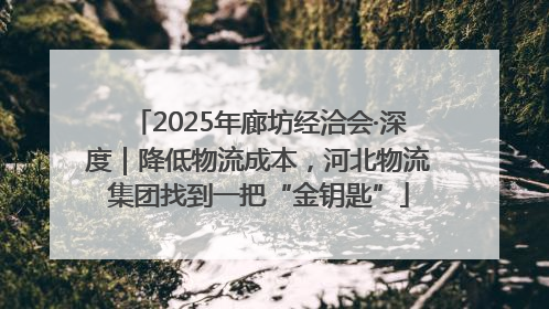2025年廊坊经洽会·深度｜降低物流成本，河北物流集团找到一把“金钥匙”