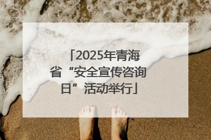 2025年青海省“安全宣传咨询日”活动举行