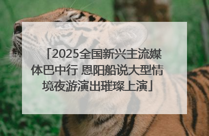 2025全国新兴主流媒体巴中行 恩阳船说大型情境夜游演出璀璨上演