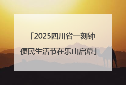 2025四川省一刻钟便民生活节在乐山启幕