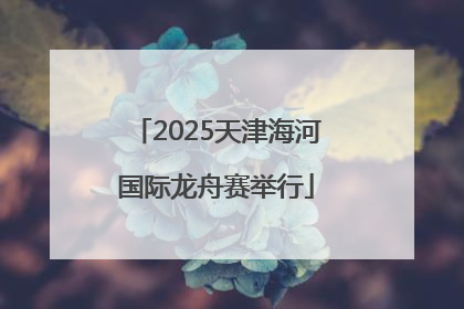 2025天津海河国际龙舟赛举行