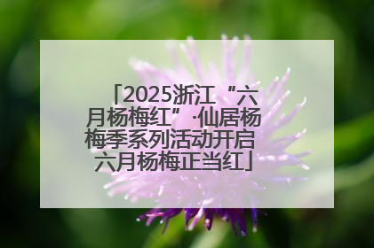 2025浙江“六月杨梅红”·仙居杨梅季系列活动开启 六月杨梅正当红