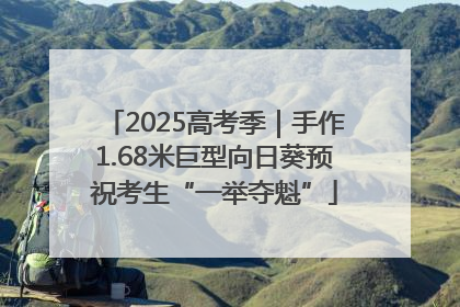 2025高考季｜手作1.68米巨型向日葵预祝考生“一举夺魁”