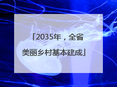 2035年，全省美丽乡村基本建成