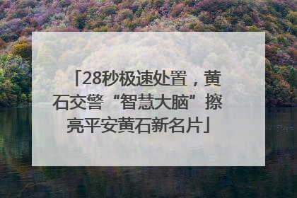 28秒极速处置，黄石交警“智慧大脑”擦亮平安黄石新名片