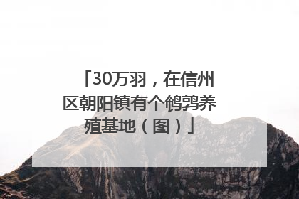 30万羽，在信州区朝阳镇有个鹌鹑养殖基地（图）