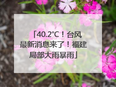 40.2℃！台风最新消息来了！福建局部大雨暴雨