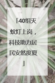 40组灭蚊灯上岗，科技助力居民安然度夏