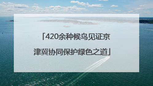 420余种候鸟见证京津冀协同保护绿色之道