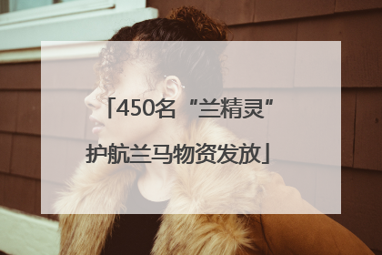 450名“兰精灵”护航兰马物资发放