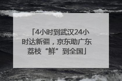 4小时到武汉24小时达新疆，京东助广东荔枝“鲜”到全国