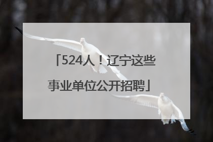 524人！辽宁这些事业单位公开招聘