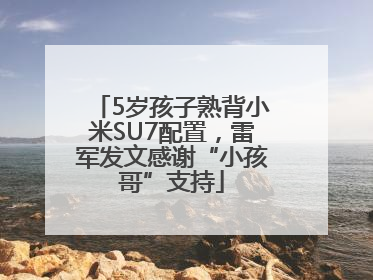 5岁孩子熟背小米SU7配置，雷军发文感谢“小孩哥”支持