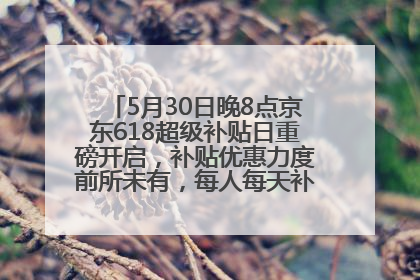 5月30日晚8点京东618超级补贴日重磅开启，补贴优惠力度前所未有，每人每天补贴超6180元！