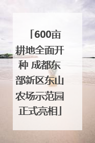 600亩耕地全面开种 成都东部新区东山农场示范园正式亮相