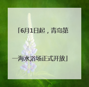 6月1日起，青岛第一海水浴场正式开放
