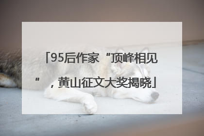 95后作家“顶峰相见”，黄山征文大奖揭晓