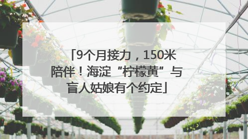 9个月接力，150米陪伴！海淀“柠檬黄”与盲人姑娘有个约定