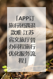 APP订旅行团遇退款难 江苏省文旅厅督办同程旅行优化服务流程