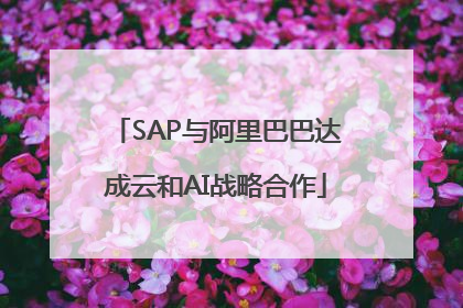SAP与阿里巴巴达成云和AI战略合作